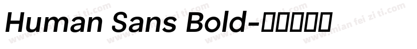 Human Sans Bold字体转换